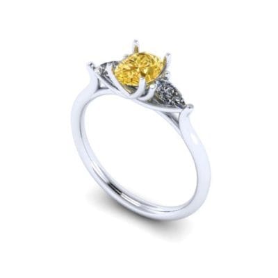 Perspective view render